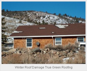 Winter Roof Damage 